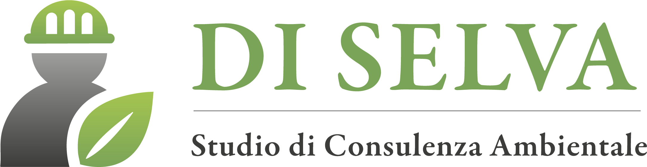 FIN SERVICE IMMOBILIARE DI DI SELVA MARIO